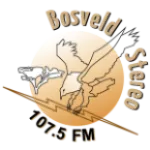 Bosveld Stereo